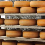 Czy ser szkodzi? Badania o cholesterolu, maśle i demencji