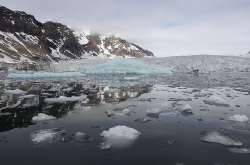Silversea Silver Explorer Arctic
