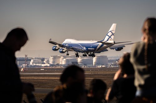 50969167488_7aa02a53af_o