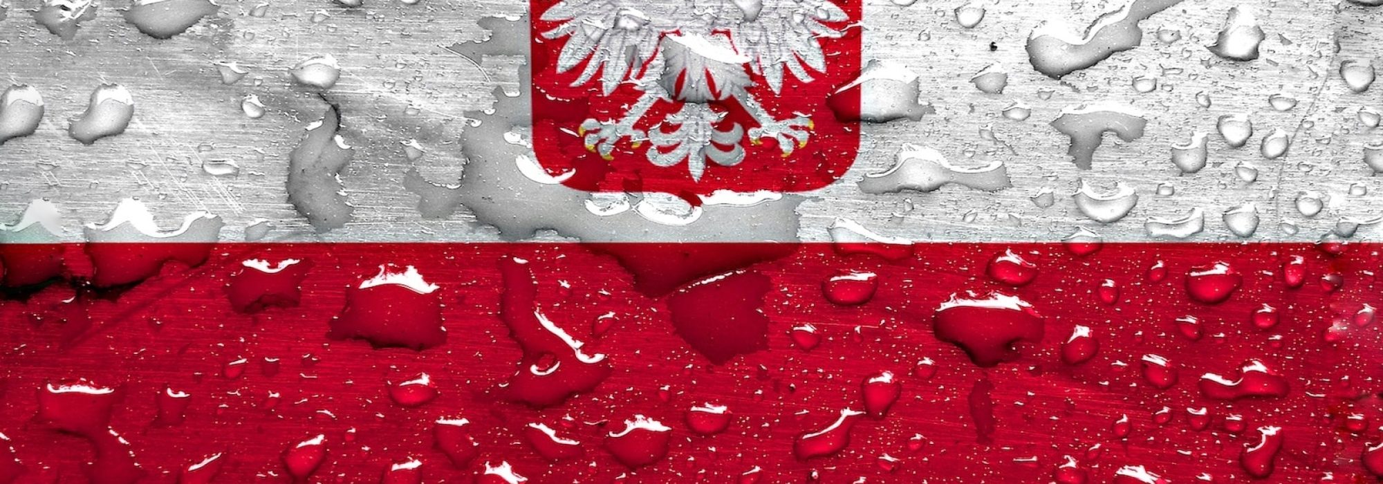 Piotr Czauderna Non possumus