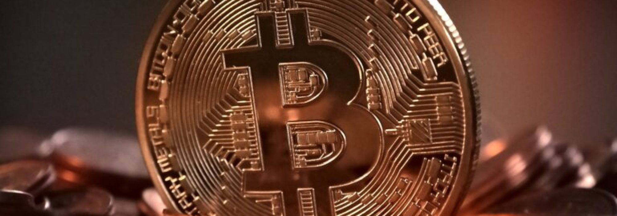 dlaczego bitcoin rośnie