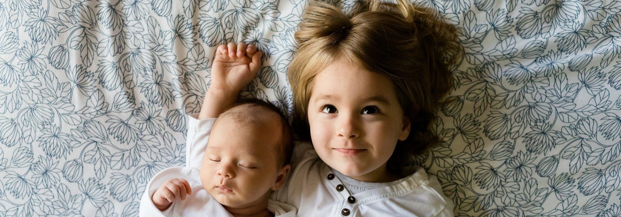 brothers-457237_1920