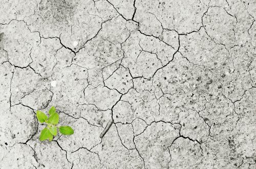 climate-change-1325882_1920