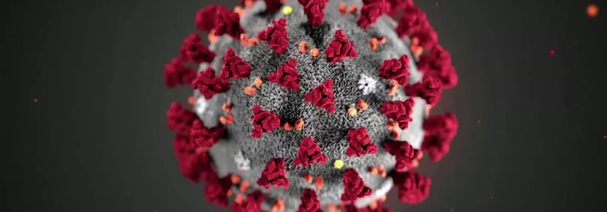coronavirus